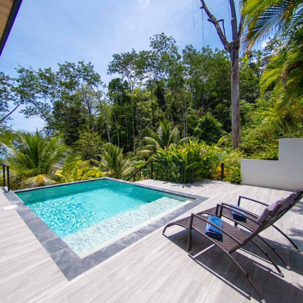 Cosara Guest Featured