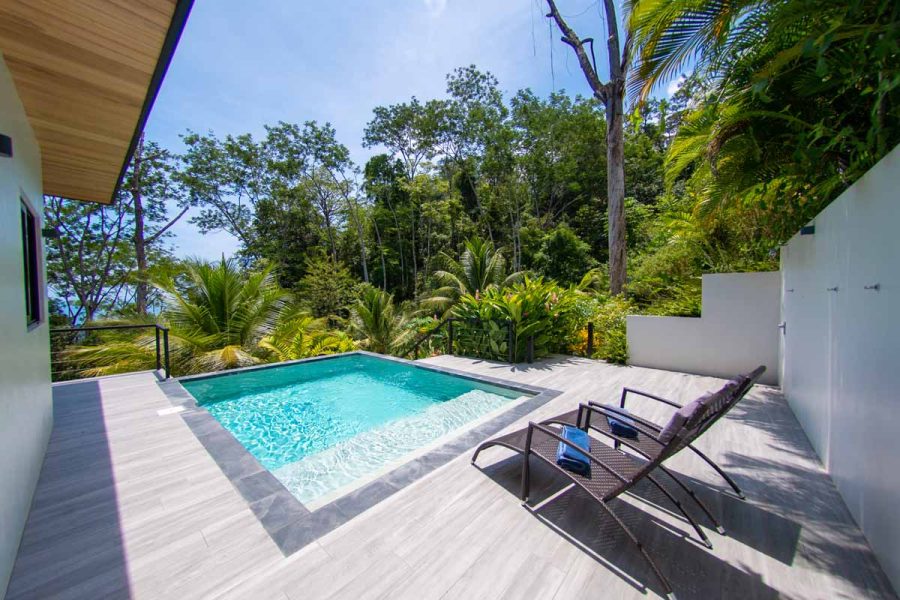 Cosara Guest Featured